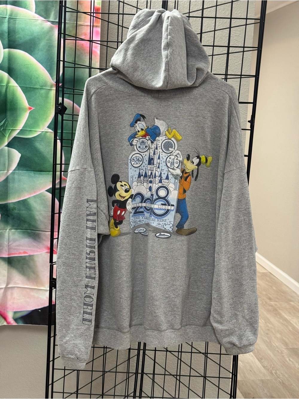 Hanes Gray Disney Characters Graphic Hoodie Men’s 3X Pit 27” X 30” Disney World